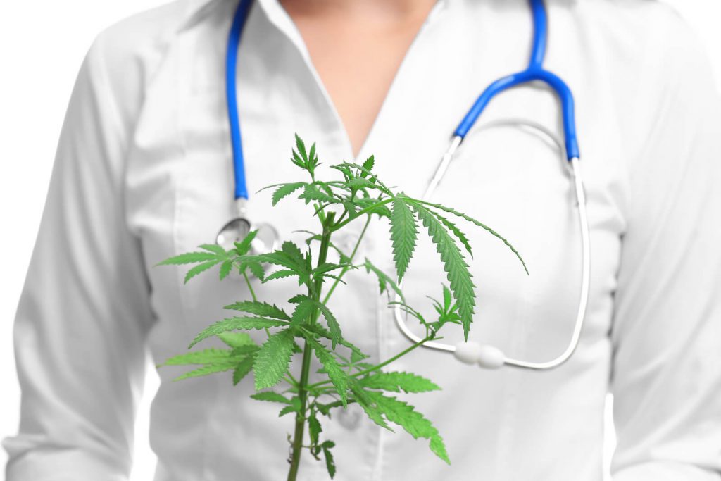 How Long Does Marijuana Actually Stay in Your System? Cannabis & Glass